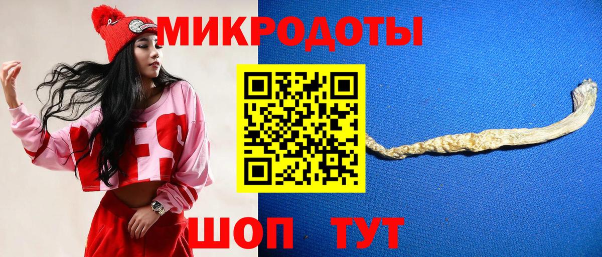 Псилоцибиновые грибы Cubensis  Вход с VPN  Горячий Ключ  Псилоцибиновые грибы прущие грибы 